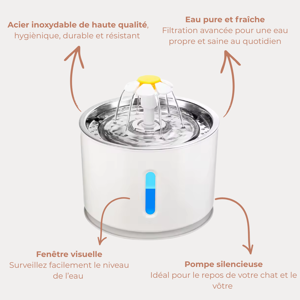 Fontaine à eau