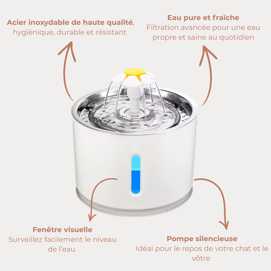 Fontaine à eau